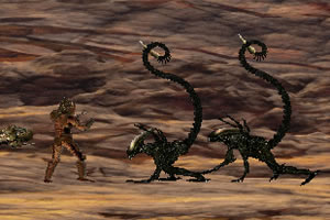 皇冠新体育APP下载手机版截图