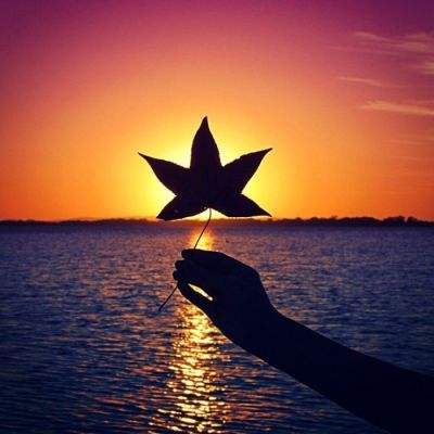 芒果体育app下载