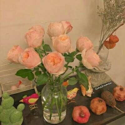 BSport·APP在线登录手机app下载