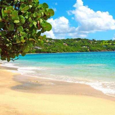 2023澳门资料大全正版下载手机版