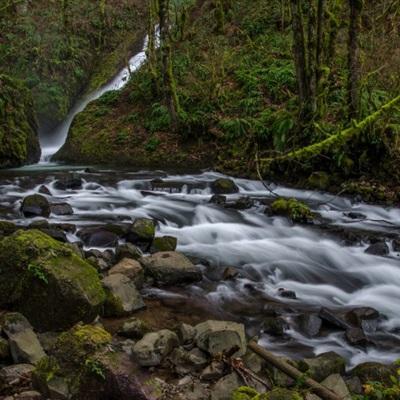 注册就送38的平台